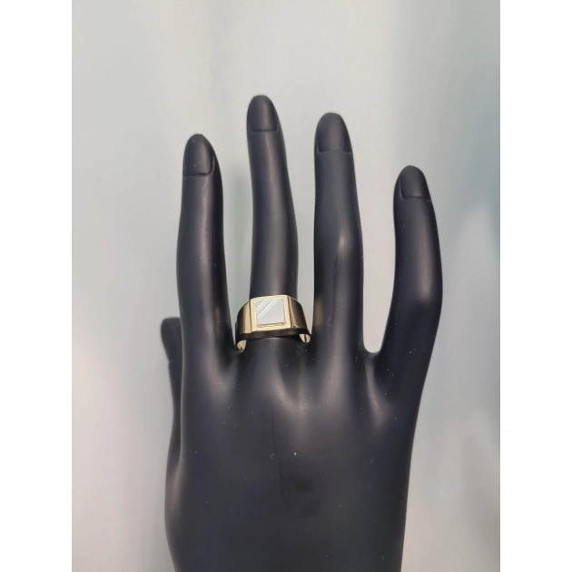 Stilingas vyriškas dviejų spalvų aukso signetas 585