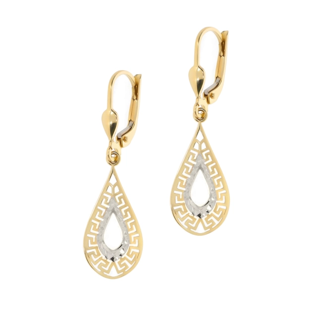 Elegantiški moteriški dviejų spalvų aukso auskarai su raštu 585