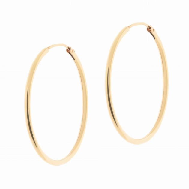 Klasikiniai moteriški geltono aukso auskarai lankeliai 585