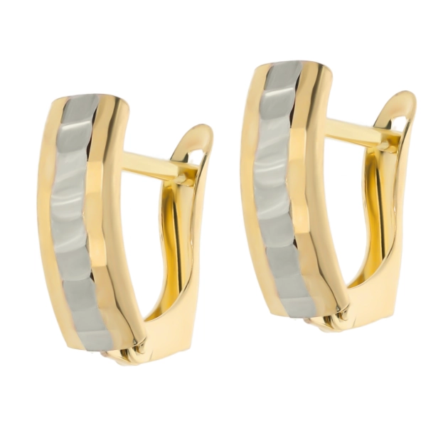 Elegantiški moteriški dviejų spalvų aukso auskarai 585