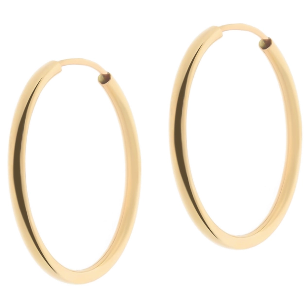 Klasikiniai moteriški geltono aukso auskarai lankeliai 585