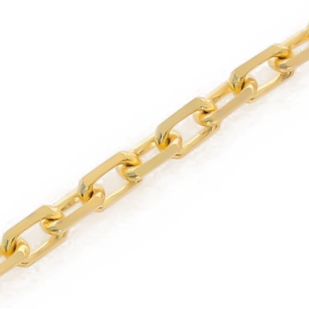 Elegantiška moteriška pilnavidurė geltono aukso grandinėlė 585